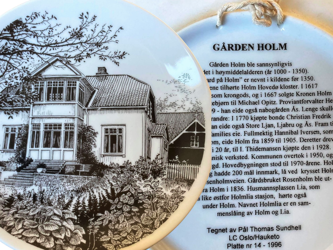 Artikkelbilde til artikkelen Minneplater fra Lions Hauketo